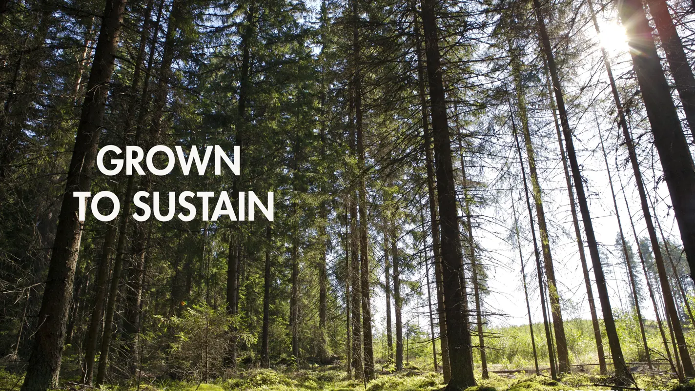 Big brands drive demand for sustainable timber | UPM Timber