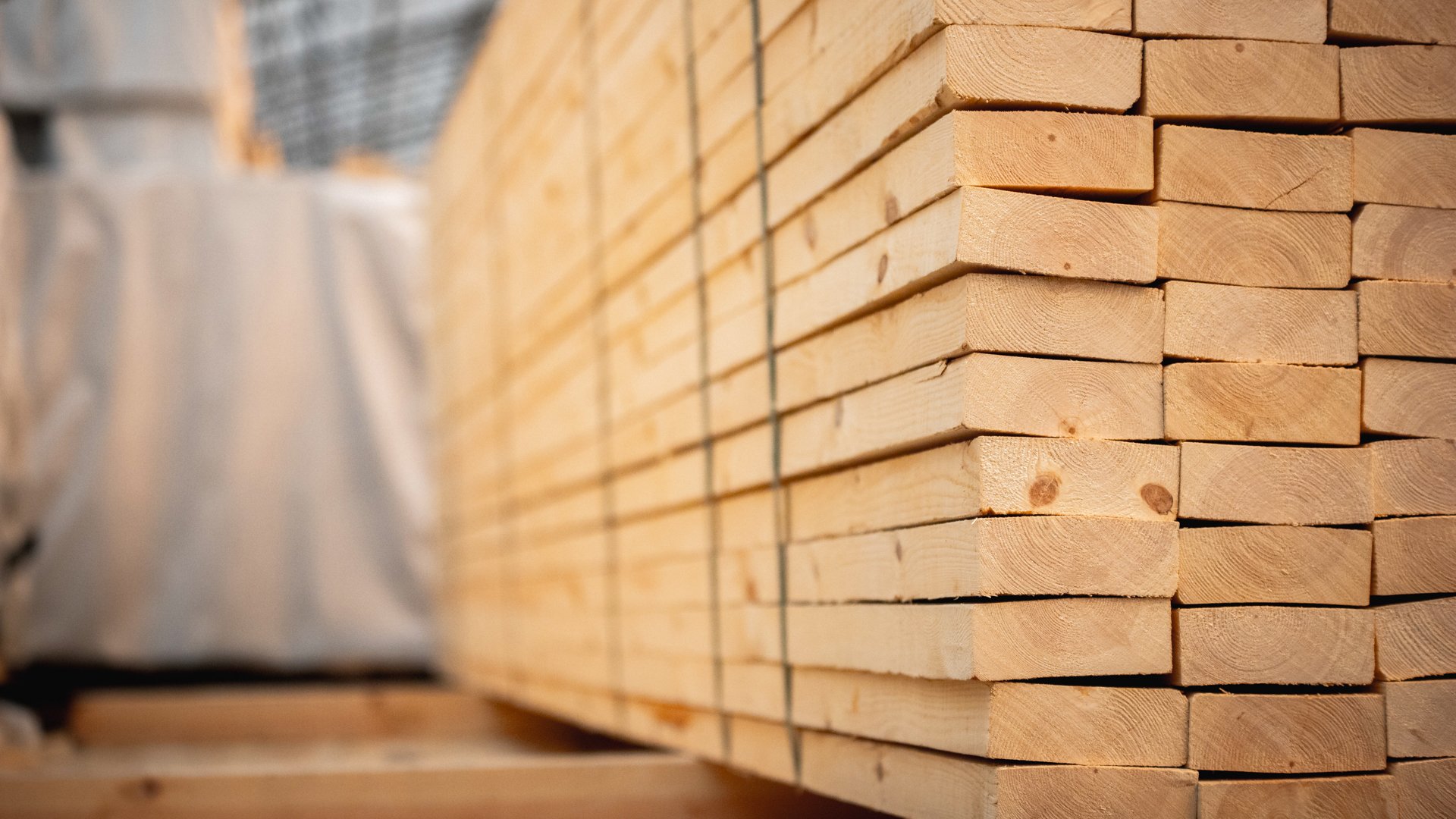 UPM Timber and CIBM – promoting sustainable timber together | A ...